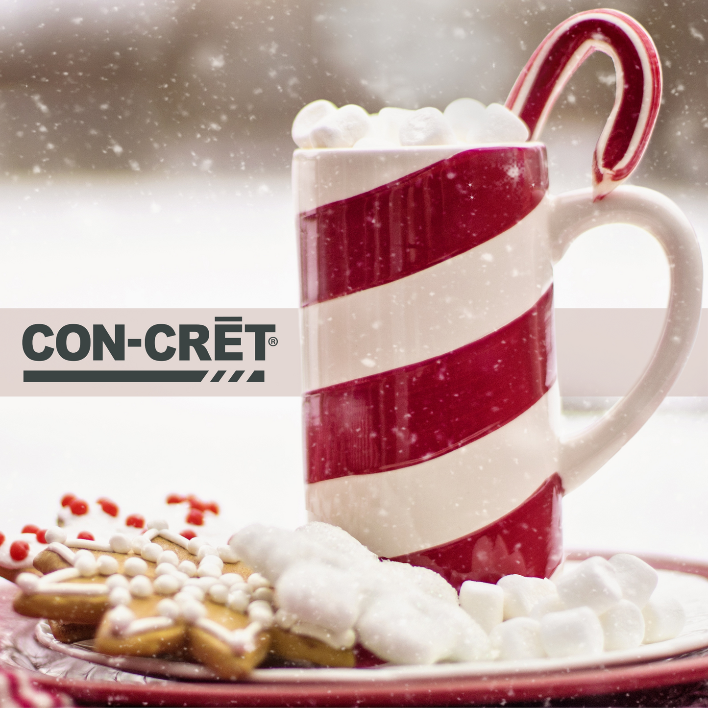 Healthy Holiday Recipes Featuring CON-CRĒT®