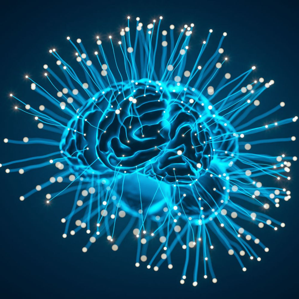 Best Foods & Vitamins for Brain Health