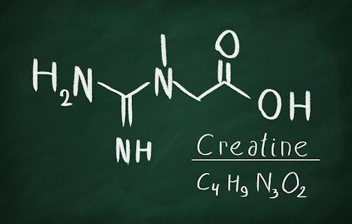 Is Creatine HCl Safe to Use Daily? - CON-CRET Patented Creatine HCl